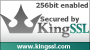 SSL seal of KingSSL